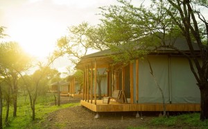 Luwela Camp Tent Interior